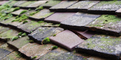 Aston Tirrold roof repair costs